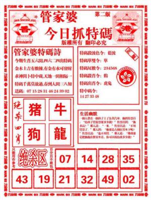 管家婆抓特码B
