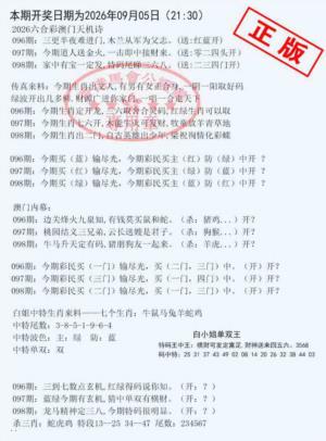 深圳特区报B