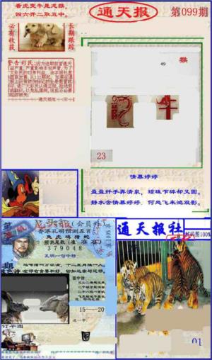 实力通天报