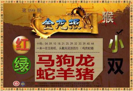 金龙报