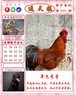 救通报
