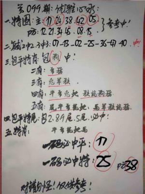 优雅心水