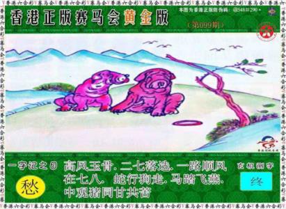 赛马会黄金版