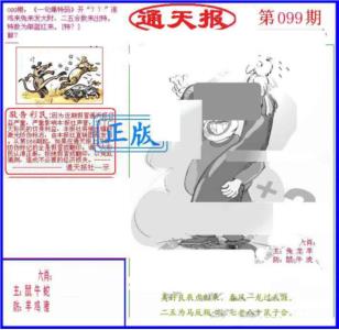 另通天报