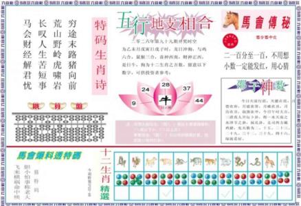 马会财经B