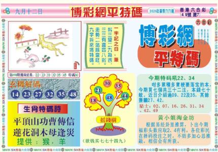 博彩网平特报记录