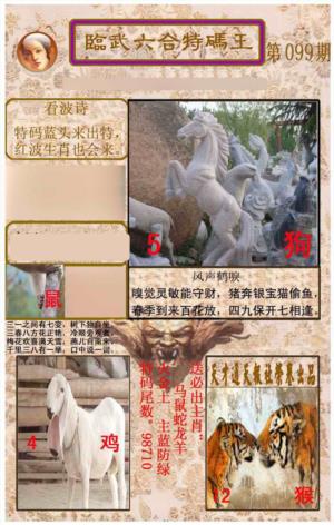 临武六合特码王