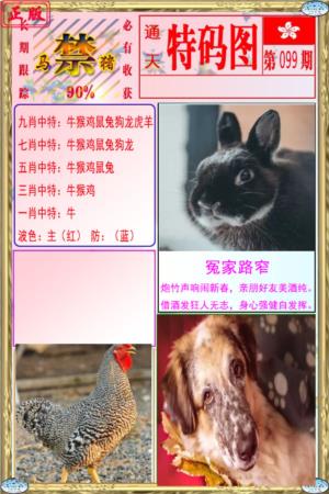 特码图