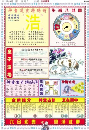 六合神童B
