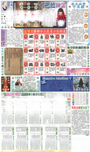 新报玄机(港版)D