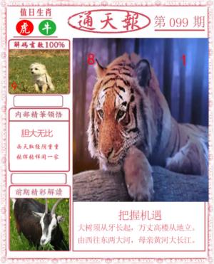 正版通天报