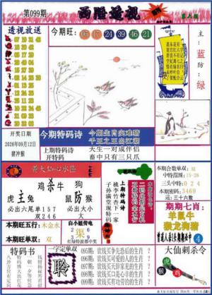 西陲透视(正版)