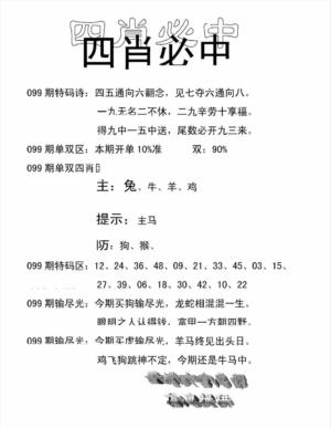 四肖中特(新)