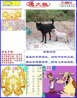 大陆通天报