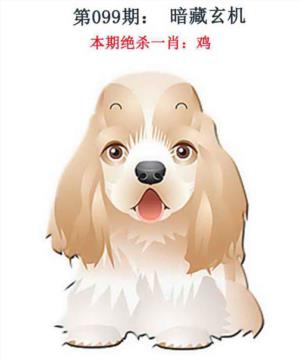 金钱豹自有真功夫