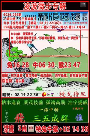 凌波微步专解跑狗