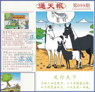 正版通天报