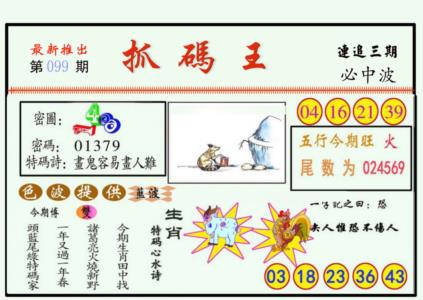 抓码王
