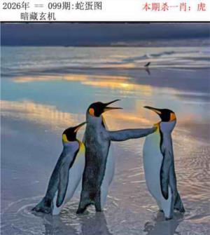 正版蛇蛋图