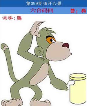 四九开心果