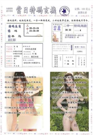 当日特码玄机-2
