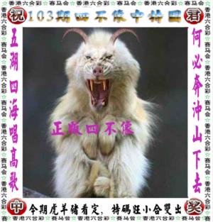 第2026103期图库